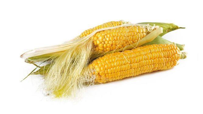 Eating corn for weight loss