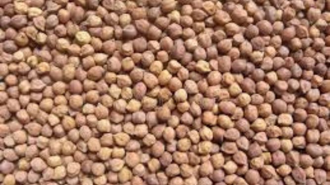 kala-chana-nutrition-per-100g-protein-calories-and-benefits